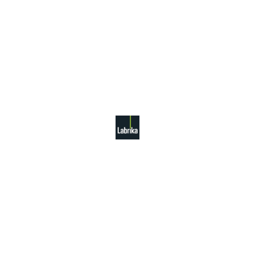 Labrika Group Buy With 4.95$/ Month For Unlimitted Search